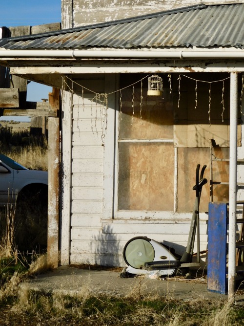 Alfresco Gymnasium With Caged Bird, Lawen, Oregon, 2020.