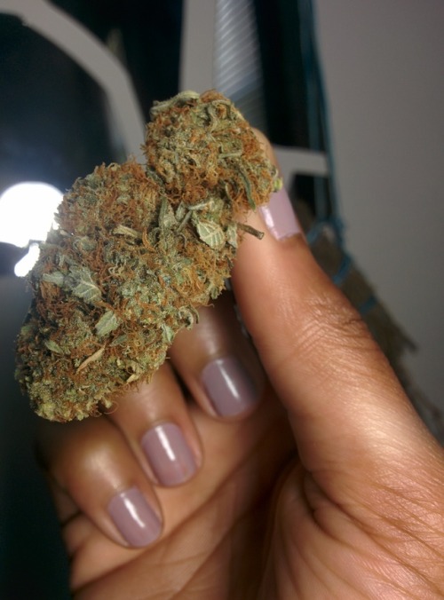 sin-and-sinsemilla: .picked some really pretty flowers today…