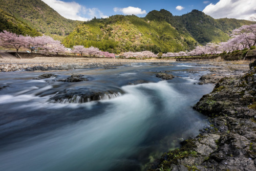 [ Sorrounded ] 16mm, f/16, ISO 100, 3sec Taken at Nara, Japan. 奈良県にて。