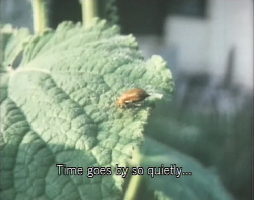 sacredwhores:Naomi Kawase - Embracing (1992)