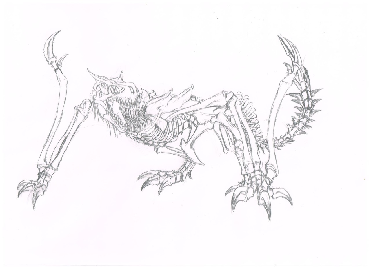 Damn Wyvern Gems ティガレックス全身骨格 アカムトルム全身骨格 Tigrex Whole Damn Wyvern Gems ティガレックス全身骨格 アカムトルム全身骨格 Tigrex Whole