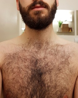 Hawtcawk:growing Out My Beard A Bit And I’ve Finally Made It Past The ‘Amish