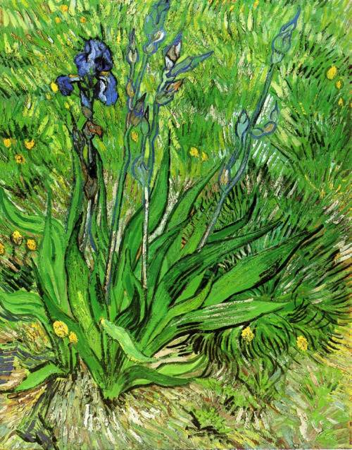 lonequixote:The Iris, 1889 ~ Vincent van Gogh