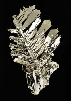 ifuckingloveminerals:  Platinum Man-made crystals of platinum by CVD.