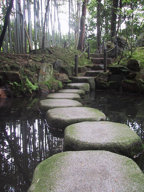 XXX visitheworld:  Stepping stones in the bamboo photo