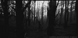 Ravachol in Valhalla