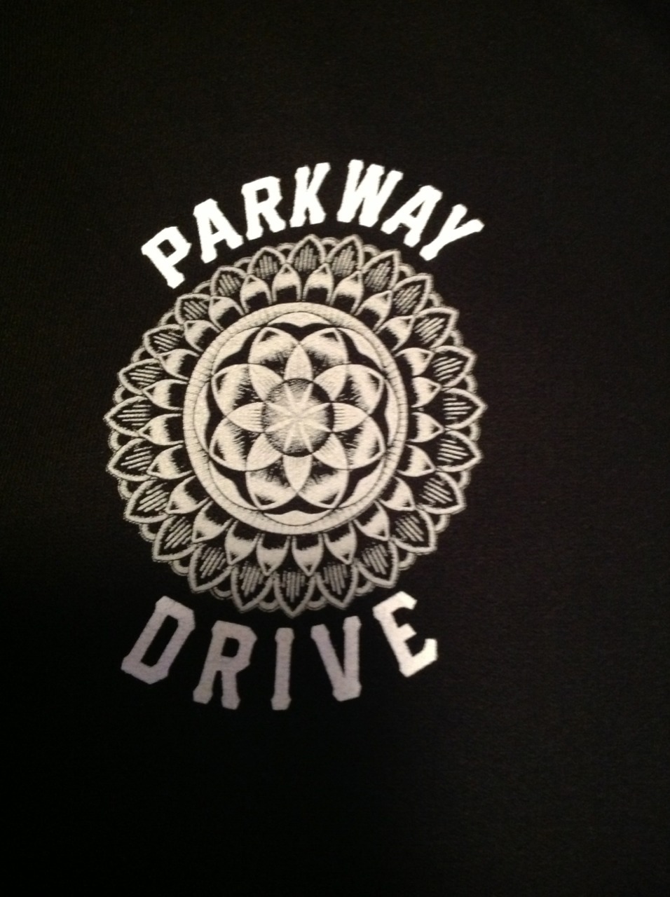 My Hoodie from tour last fall with Parkway Drive and  In Hearts Wake