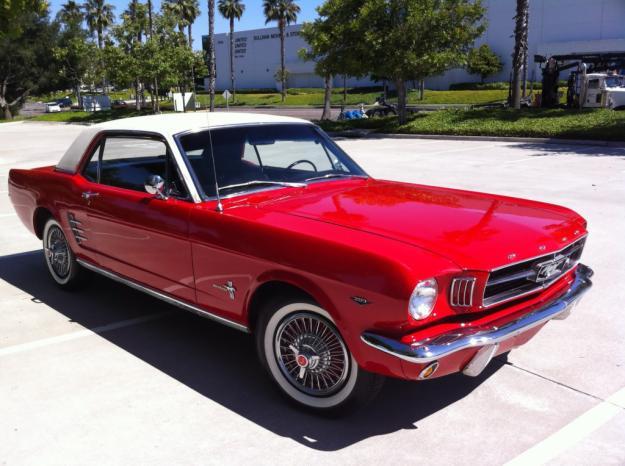 Ford Mustangs