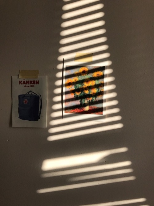 parachutepeach:the sun entered my room perfectly