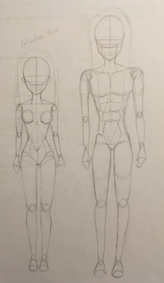 Anatomy Is Getting Better But...