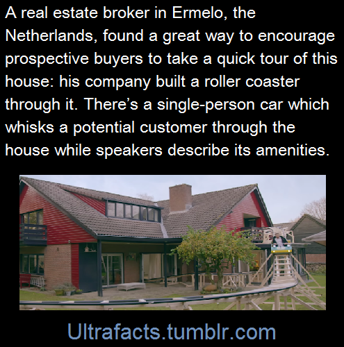 ultrafacts:     It makes the experience more fun. (Fact Source) Follow Ultrafacts