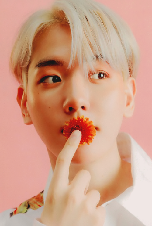 sefuns:Baekhyun — 「BAEKHYUN」 Album Booklet (Stars Ver.) 