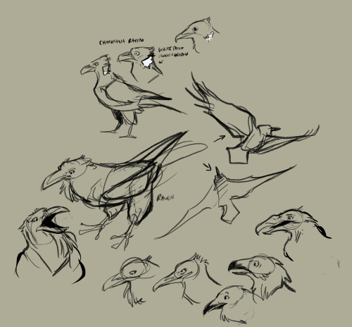 fablepaint:  Been a bit busy today. Have some of today’s warmup / character concepts. Noodling out a