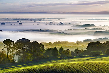 Eddisbury Hill, Cheshire.