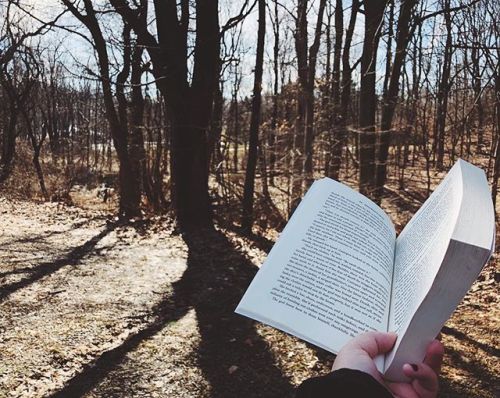 booksdirect: Outside reading.