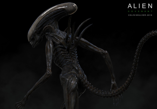 everything-alien-and-predator:Protomorph Concept Art for Alien: Covenant