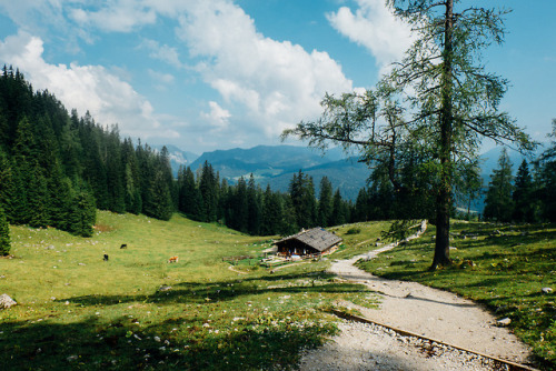 DER BERG RUFT IINach einem langen und steilen Stück Weg durch den noch angenehm schattig kühlen Wald