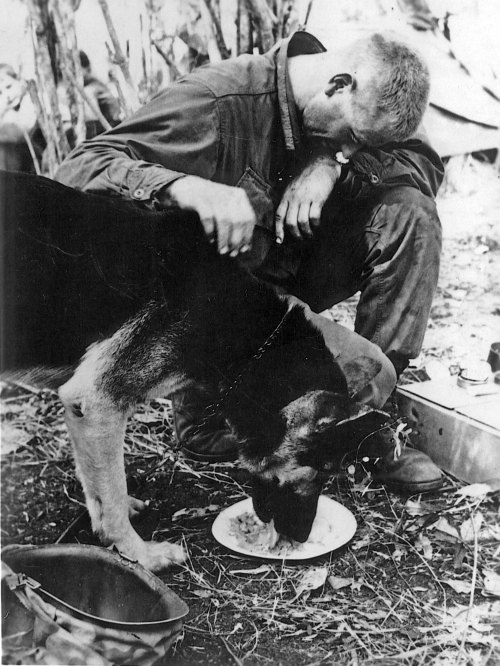 Feeding time after a mission with elements of the 4th Infantry Division, US Army, Kontum Province, 1