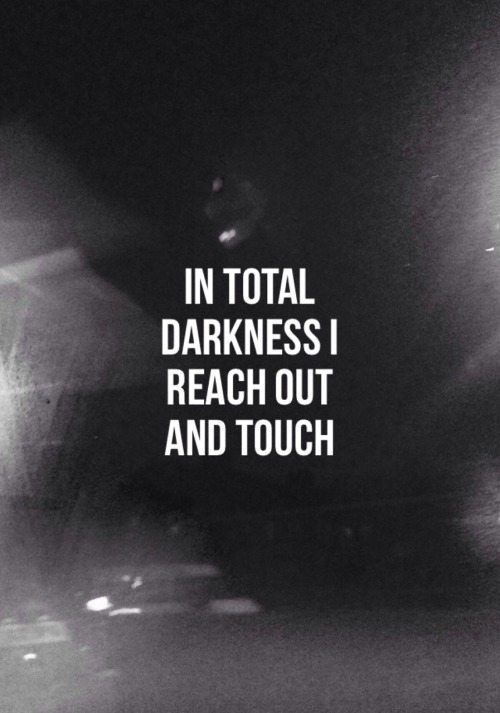 flowersivan:  Touch ~ Troye Sivan