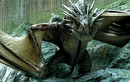 SUCKER PUNCH (2011) SLEEPING BEAUTY (1959) GAME OF THRONES: SEASON 7 EPISODE 5 (2019) AVATAR THE LAST