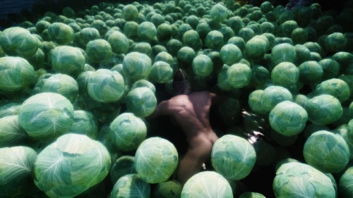 karliahthebrave: swimming in cabbage