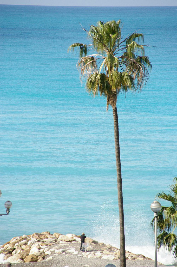 allthingseurope:  Côte d’Azur, France (by Johan_Leiden)