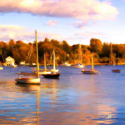 everythingcapecod:‘Quissett’ (by Michael Petrizzo)
