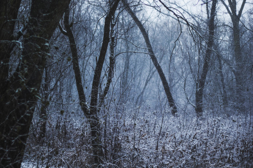 garettphotography:Winter Reminiscence | GarettPhotography