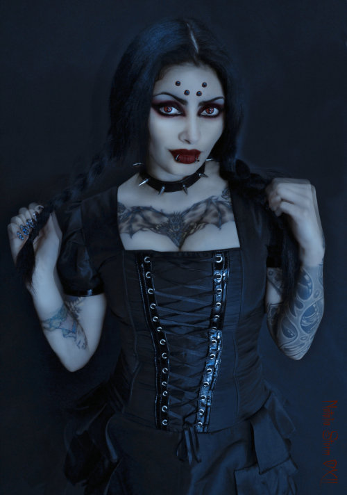 viralsky:  + welcome to my wasteland + 
