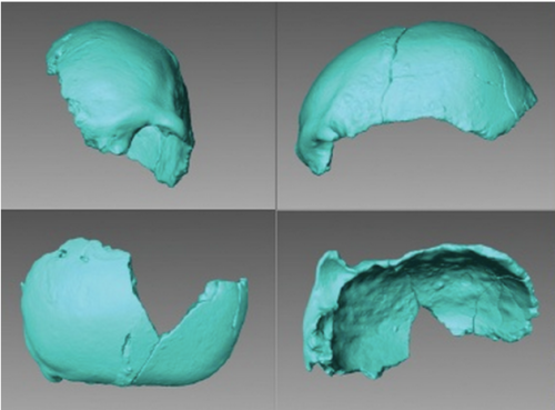 theolduvaigorge:Late Pleistocene age and archaeological context for the hominin calvaria from GvJm-2