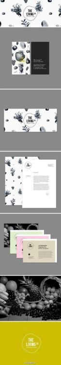 The Living Co. | #stationary #corporate #design #corporatedesign...