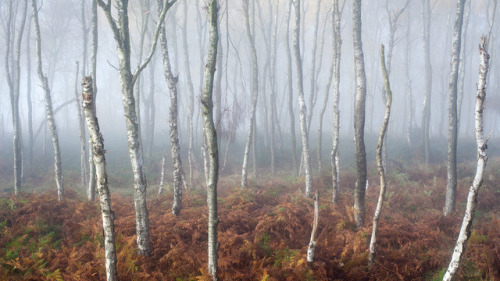 annwn:James Mills
