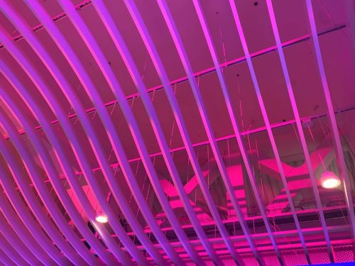 The train station lit up in magenta! So fun and interesting ✖️✖️✖️✖️✖️#pinkpinkpink #pinklight #ne