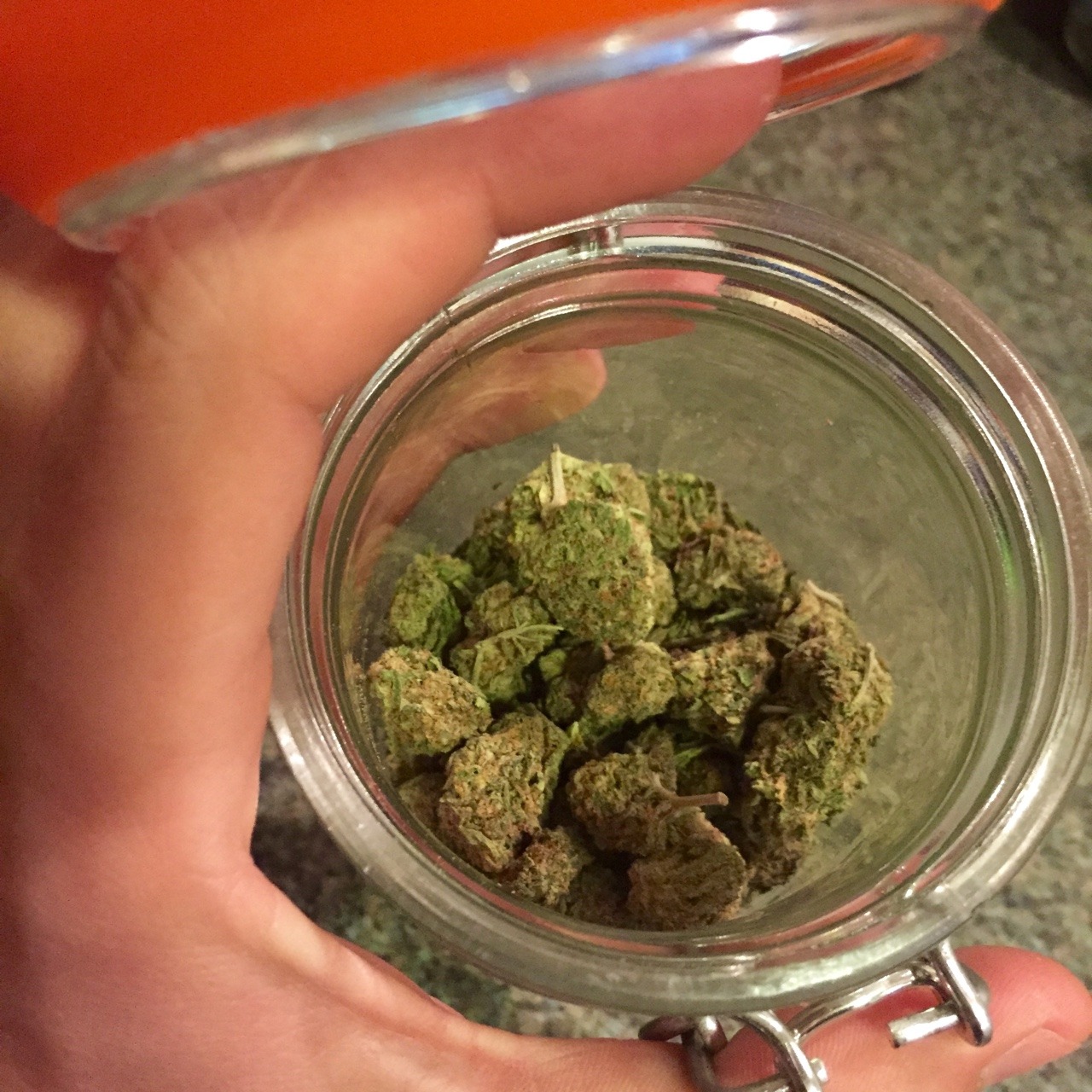 whatsakyle:  getting a closer look at the chemdawg. 