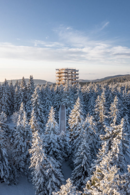 traveltoslovenia: TREETOP WALK POHORJE, Rogla, Slovenia - an amazing panoramic treetop trail, where 