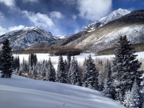 Snowshoed across this wilderness today. Aspen, CO