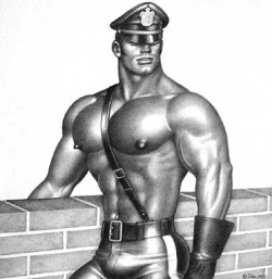 musclebruh: TOM OF FINLAND