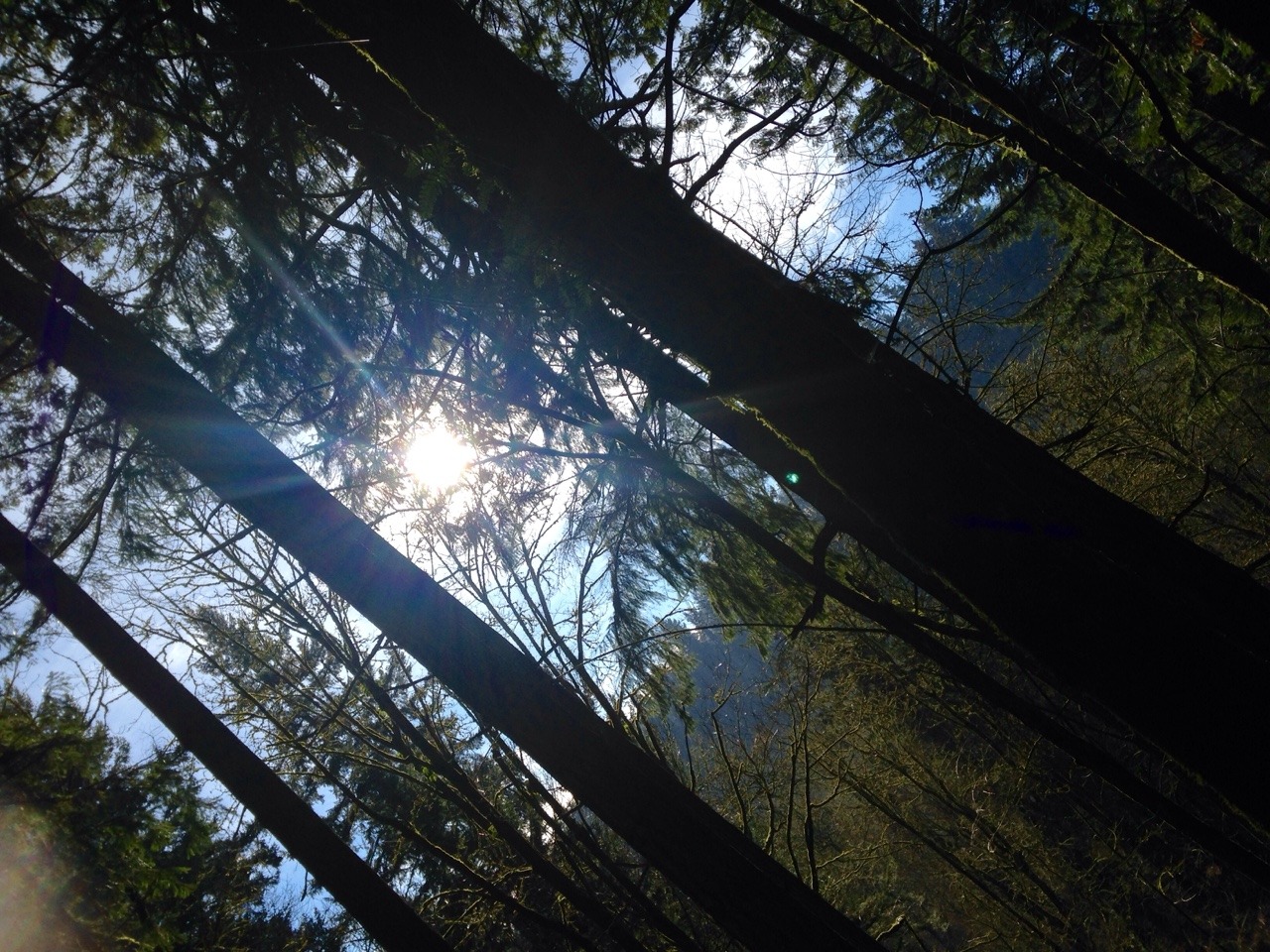harmsland:  Oregon’s spectacular