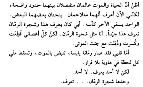 fatimaz-larbi - Fatima Zohra