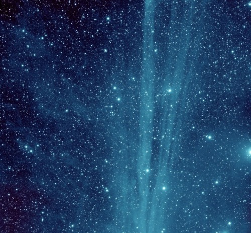 astronomyblog:Comet C/2014 Q2 LovejoybyJoseph Brimacombe