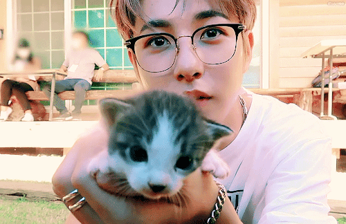 I Cant Believe Renjun Found Something Even Tinier Than Himself