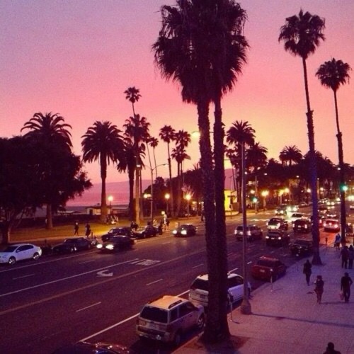 Dream Life