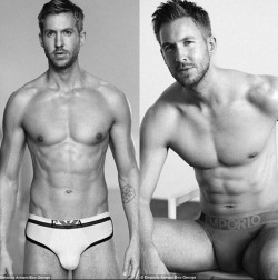 jcelebbulges:  Dj Calvin Harris bulges in Armani underwear