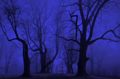 winterfellis:  Kilian Schonberger 