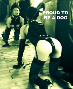 prettypennytraining:  hq420quinn:   puppy-girls:  and you should be.  Bark bark always   More importantly, hoping to make you proud to be my owner.