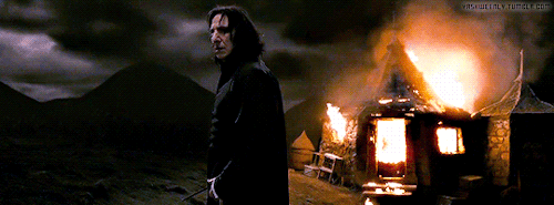 Harry Potter and the…