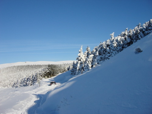 putdownthepotato:Djouce Mountain, Co. Wicklow, Ireland by Niamh