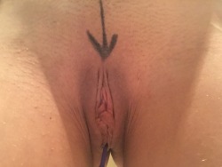 depu80:  The entry for cocks