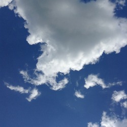persianartkid:  But for real look at the clouds as ordinary as they are