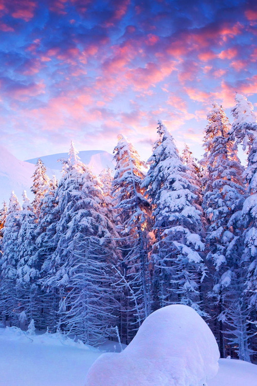 obscvred:  Source | Photographer